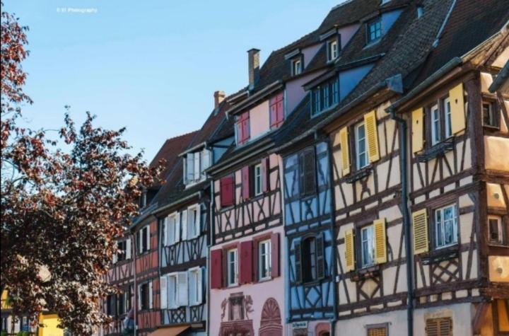 Appartement Avec Terrasse Entre Vignes, Balades, Alsace Guebwiller Exterior foto